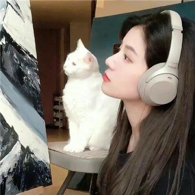 安全领域